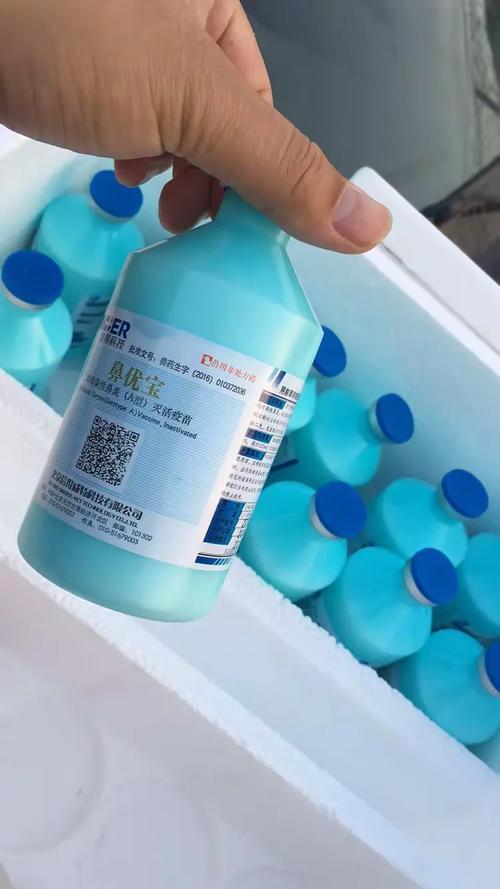 魏县恒大牧业.岁末狂欢